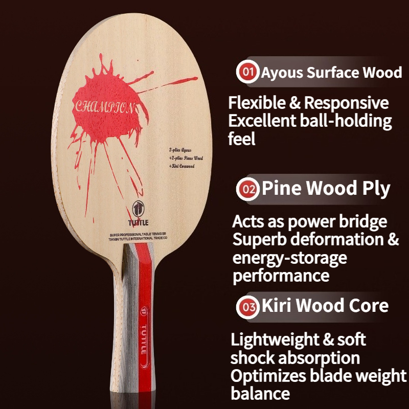 TUTTLE Champion Road Table Ten - Table Tennis Champion review and price