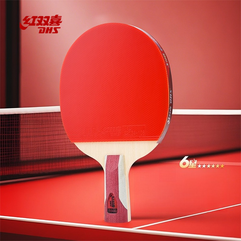 DHS Table Tennis Racket With H - Table Tennis Champion review and price