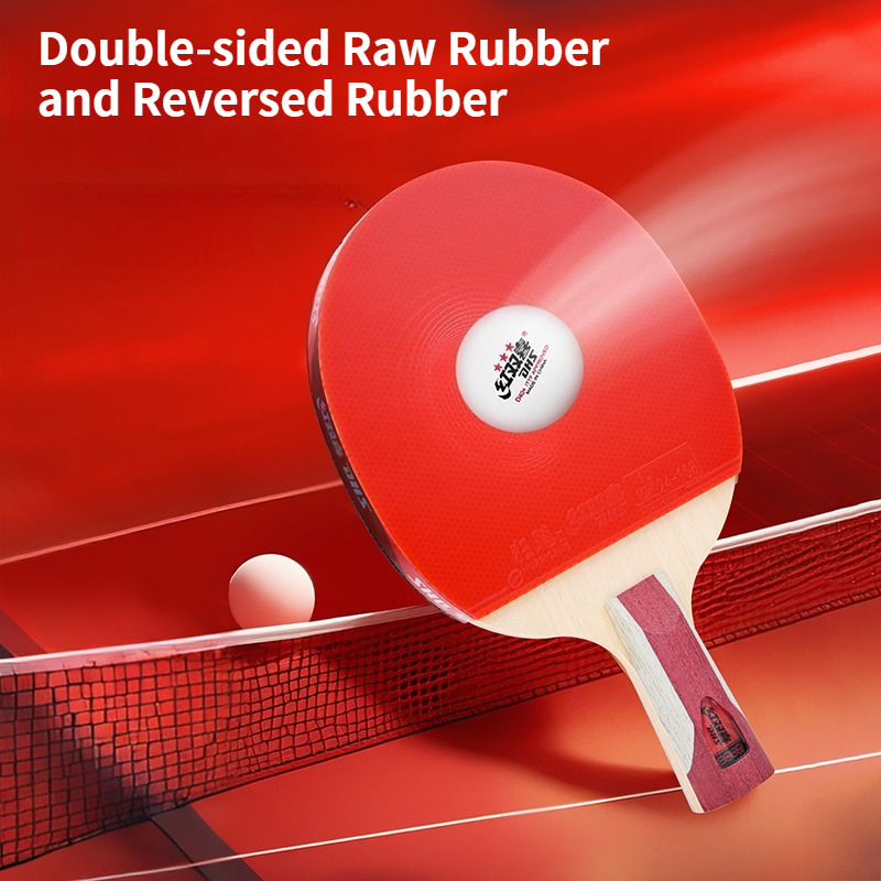 DHS Table Tennis Racket With H - Table Tennis Champion review and price
